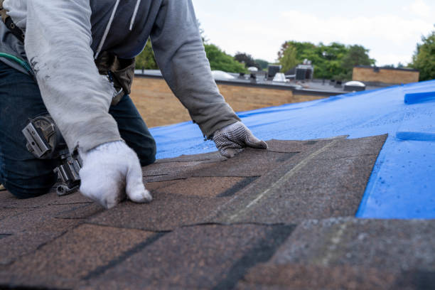 Best Shingle Roofing Installation  in Starkville, MS