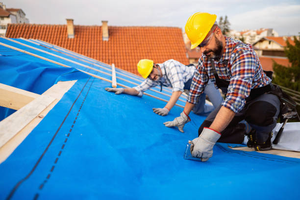 Best Residential Roofing Contractor  in Starkville, MS